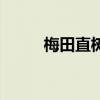 梅田直樹（關于梅田直樹的介紹）