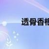 透骨香根（關于透骨香根的介紹）