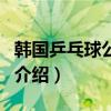 韓國乒乓球公開賽（關于韓國乒乓球公開賽的介紹）