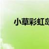 小草彩虹島（關于小草彩虹島的介紹）