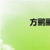方鸝鸝（關于方鸝鸝的介紹）