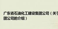 廣東省石油化工建設集團公司(關于廣東省石油化工建設集團公司的介紹)