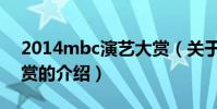 2014mbc演藝大賞(關于2014mbc演藝大賞的介紹)
