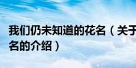 我們仍未知道的花名(關于我們仍未知道的花名的介紹)