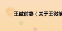 王微前妻(關于王微前妻的介紹)