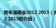 跨年演唱會2012 2013(關于跨年演唱會2012 2013的介紹)
