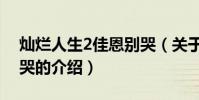 燦爛人生2佳恩別哭(關于燦爛人生2佳恩別哭的介紹)