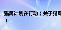 獵鷹計劃在行動(關于獵鷹計劃在行動的介紹)
