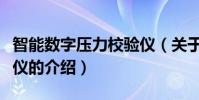 智能數字壓力校驗儀(關于智能數字壓力校驗儀的介紹)