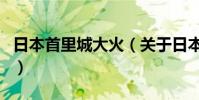 日本首里城大火(關于日本首里城大火的介紹)