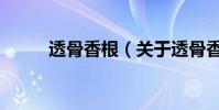 透骨香根(關于透骨香根的介紹)