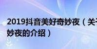 2019抖音美好奇妙夜(關于2019抖音美好奇妙夜的介紹)