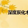 深度炭化木（關于深度炭化木的介紹）