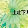 上吐下瀉（關于上吐下瀉的介紹）