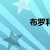 布羅利（關于布羅利的介紹）