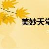 美妙天堂（關于美妙天堂的介紹）