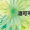 洛可可（關于洛可可的介紹）