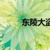 東陵大盜（關于東陵大盜的介紹）