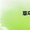 草烏（關于草烏的介紹）