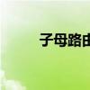 子母路由（關于子母路由的介紹）