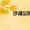 沙湖公園（關于沙湖公園的介紹）