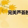 完美蘆薈膠（關于完美蘆薈膠的介紹）