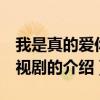 我是真的愛你 電視劇（關于我是真的愛你 電視劇的介紹）