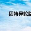 固特異輪胎（關于固特異輪胎的介紹）
