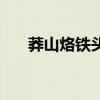 莽山烙鐵頭（關于莽山烙鐵頭的介紹）