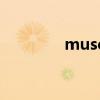 muse（關于muse的介紹）