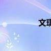 文琪（關于文琪的介紹）