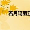 若月瑪麗亞（關于若月瑪麗亞的介紹）