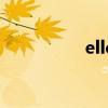 elle（關于elle的介紹）