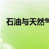石油與天然氣（關于石油與天然氣的介紹）