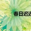 春日遲遲（關于春日遲遲的介紹）