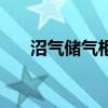 沼氣儲氣柜（關于沼氣儲氣柜的介紹）