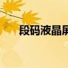 段碼液晶屏（關于段碼液晶屏的介紹）