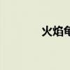 火焰龜（關于火焰龜的介紹）