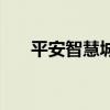 平安智慧城（關于平安智慧城的介紹）