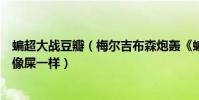 蝙超大戰豆瓣(梅爾吉布森炮轟《蝙超大戰》:這電影拍的像屎一樣)