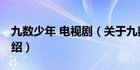 九數少年 電視劇(關于九數少年 電視劇的介紹)