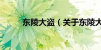 東陵大盜(關于東陵大盜的介紹)