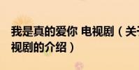 我是真的愛你 電視劇(關于我是真的愛你 電視劇的介紹)