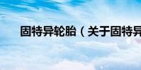 固特異輪胎(關于固特異輪胎的介紹)