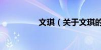 文琪(關于文琪的介紹)