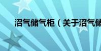沼氣儲氣柜(關于沼氣儲氣柜的介紹)