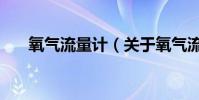 氧氣流量計(關于氧氣流量計的介紹)