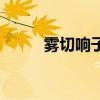 霧切響子（關于霧切響子的介紹）