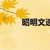昭明文選（關于昭明文選的介紹）