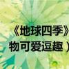 《地球四季》發“森林音樂會”預告（呆萌動物可愛逗趣）